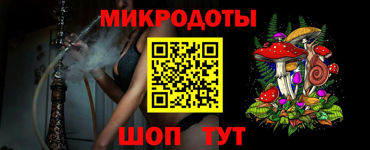 Галлюциногенные грибы Cubensis Балтийск